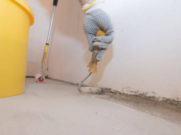 Best Pest Prevention Services  in Beaver Dam Lake, NY